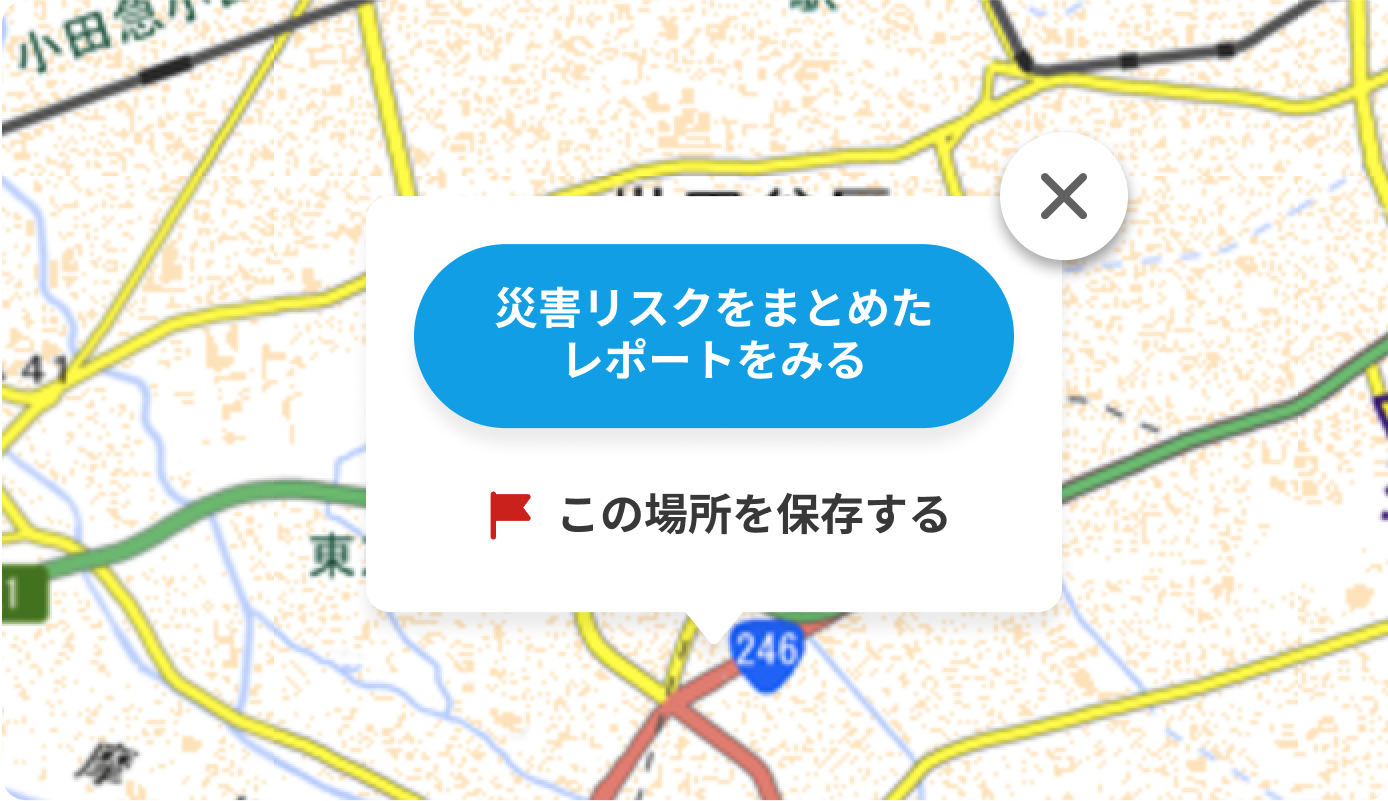災害リスクをまとめたレポートをみるの例